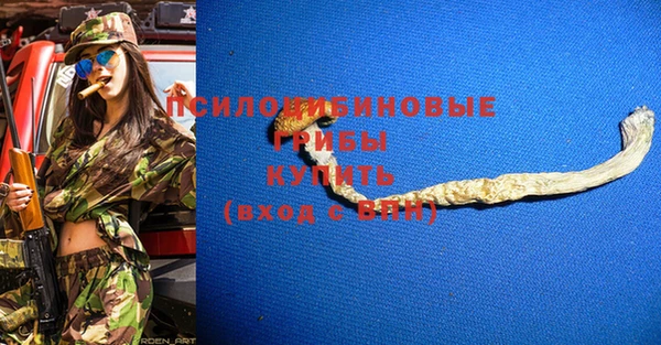 стаф Алексеевка