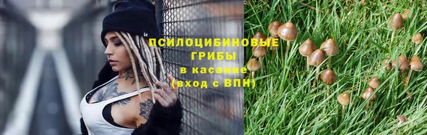 стаф Алексеевка
