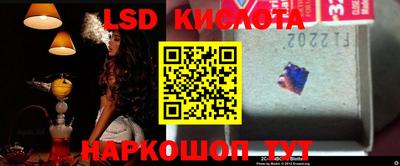 PSILOCYBIN Ефремов