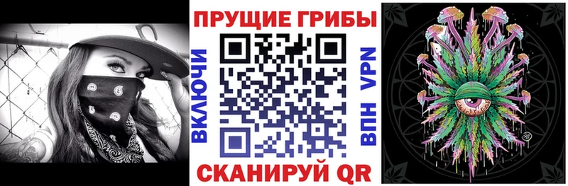 закладка  Кореновск  Галлюциногенные грибы GOLDEN TEACHER 