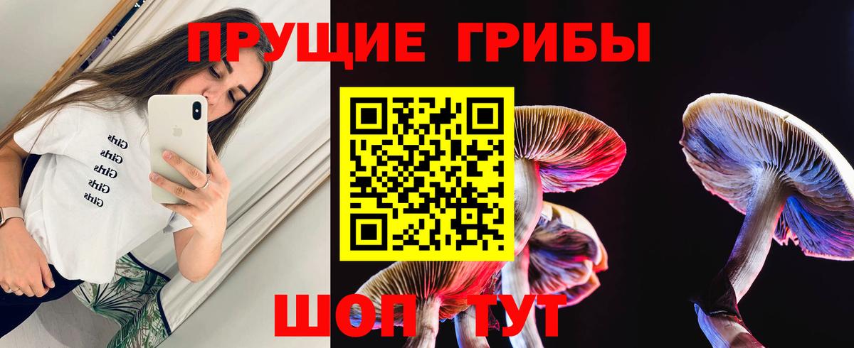 Псилоцибиновые грибы GOLDEN TEACHER Кореновск