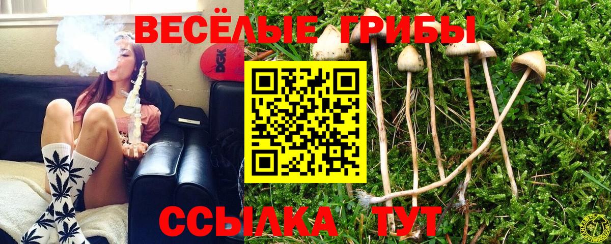 Кореновск  Псилоцибиновые грибы Cubensis  Вход с VPN 